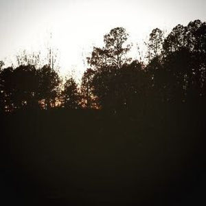 Meet your Posher, Hayden